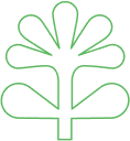 Vector.png